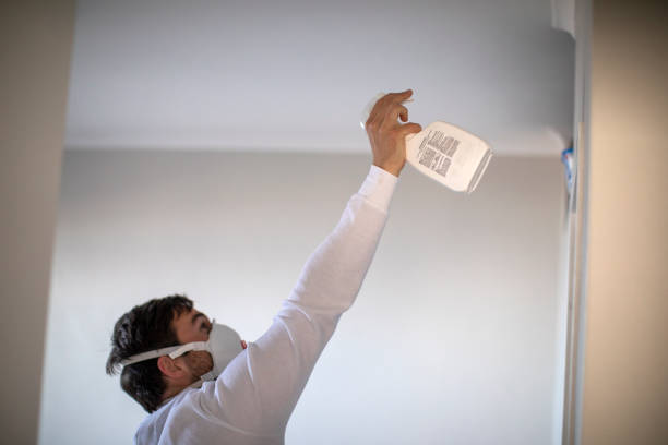 Best Attic Mold Removal  in New Carlisle, OH