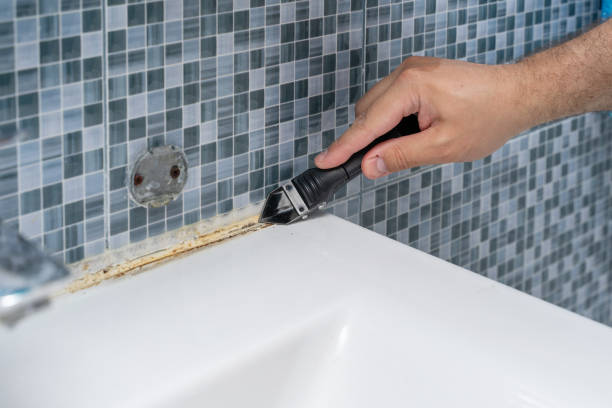 Best Mold Remediation  in New Carlisle, OH