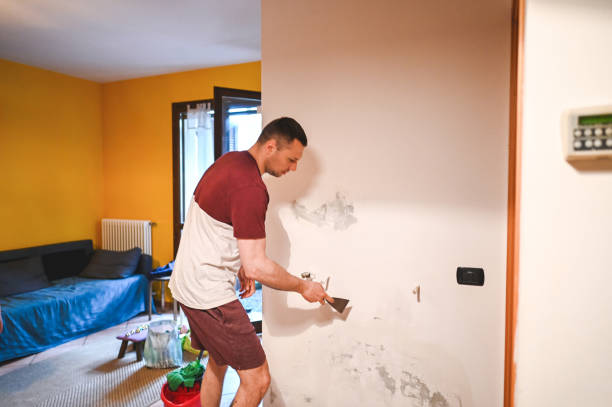 Best Mold Cleaning Services  in New Carlisle, OH